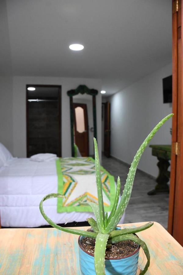 Paisa Territory Jardin Hotel Bagian luar foto